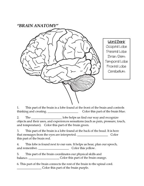 fill in the brain out